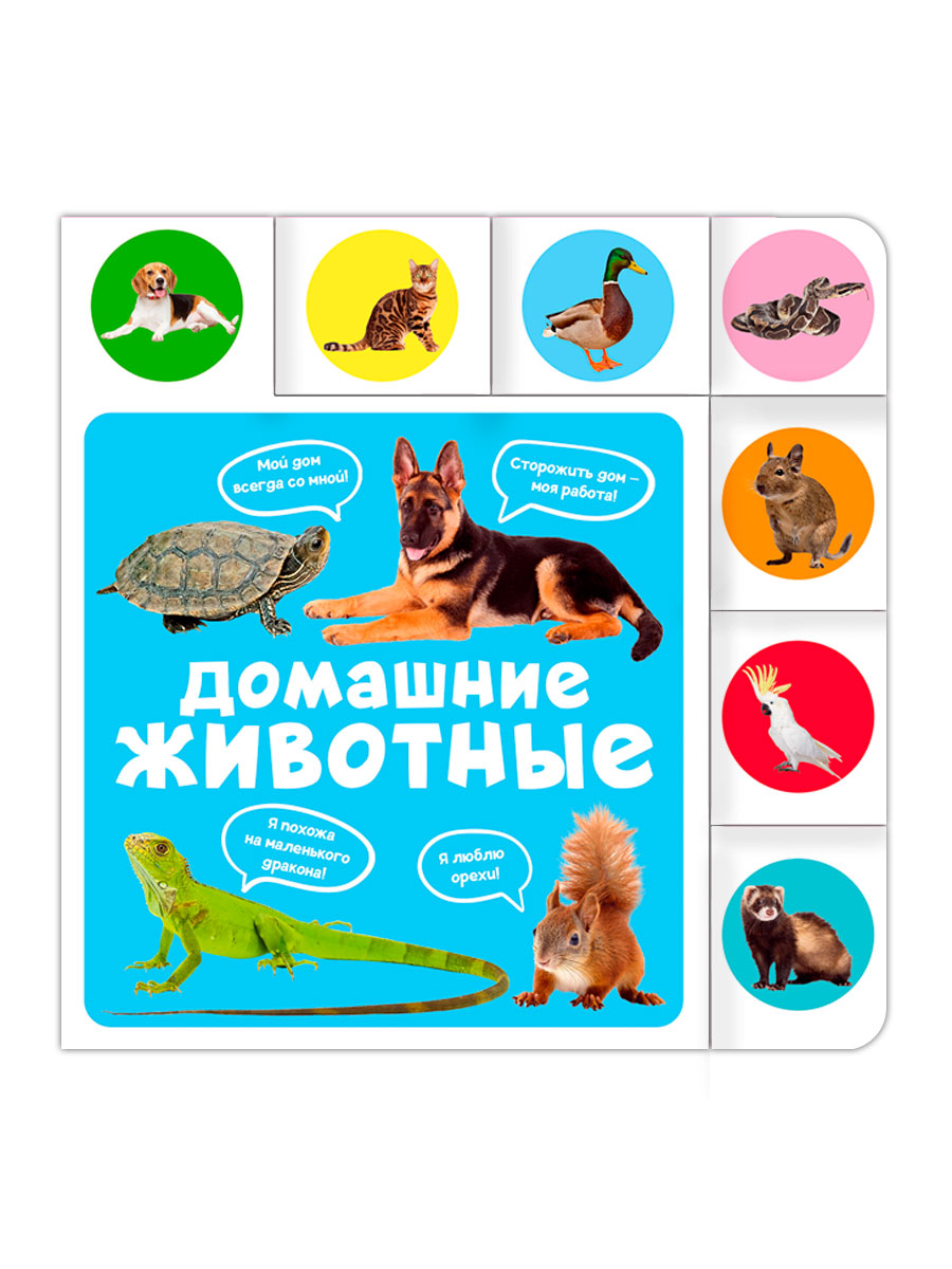 3216dbde9e1f11edbfe69453308733aa_3216dbe29e1f11edbfe69453308733aa